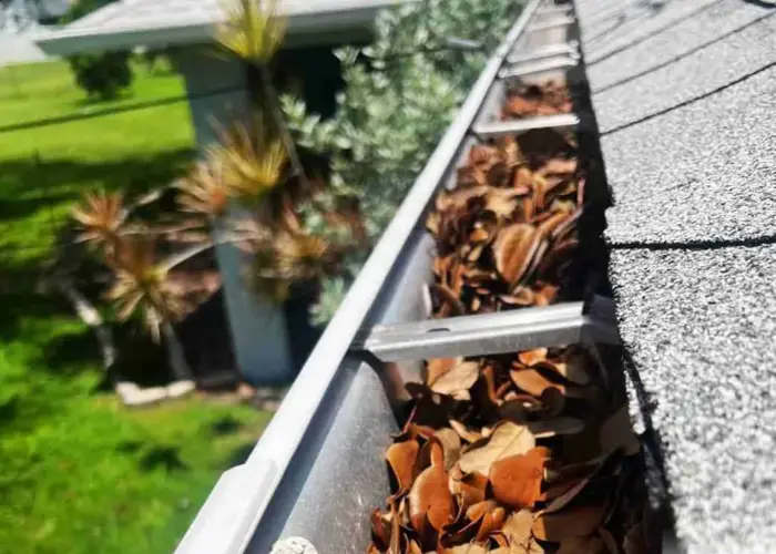 Chesnee gutter cleaning home page